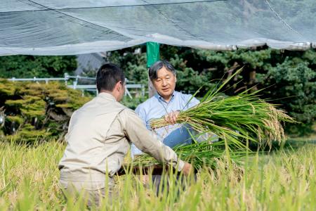 皇居内の田んぼで稲刈りをされる天皇陛下＝９日午後（宮内庁提供）