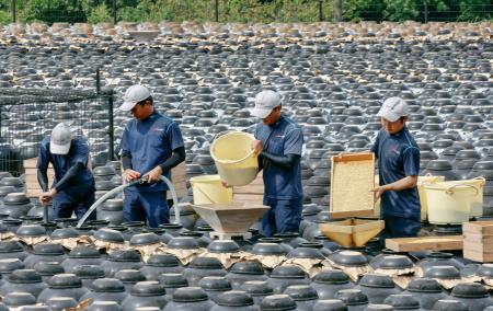 　黒酢の仕込み作業をする職人たち＝１１日午前、鹿児島県霧島市