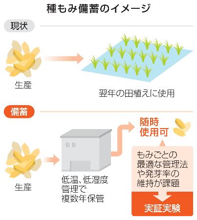 　種もみ備蓄のイメージ