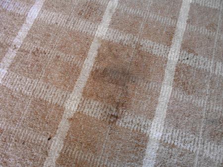 市営住宅の床に残されていたヒグマの足跡＝１６日、北海道三笠市（道警提供）