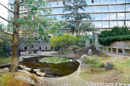 修復されたユネスコ本部の日本式の庭園「平和の庭」＝１２日、パリ（共同）