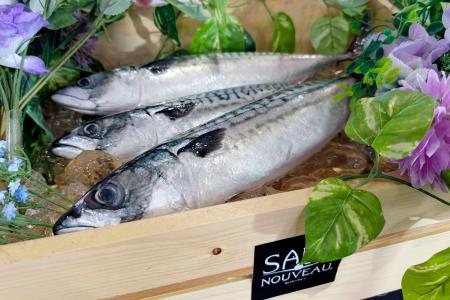 空輸された天然サバ「サバヌーヴォー」＝１９日午前、羽田空港