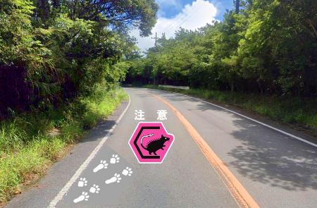 運転手にケナガネズミへの注意を促す路面デザインのイメージ