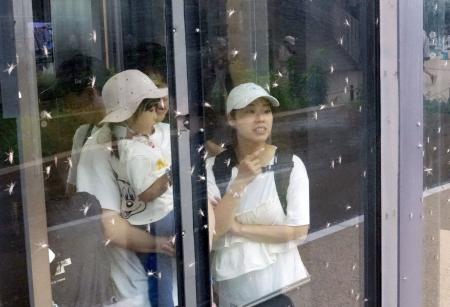 大屋根リングのエレベーター付近に見られた「ユスリカ」=5月、大阪市此花区の夢洲