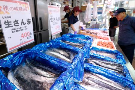 東京都品川区の鮮魚店「中與（なかよ）商店」に並ぶサンマ。今年のサンマ漁は昨年の２倍を超える水準で好調な水揚げが続き、記録的な不漁だった２０２２年の年間総量の１万８千トンを既に上回った＝２５日午前