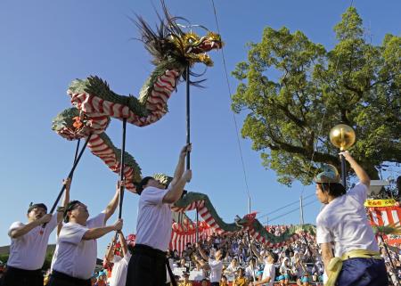 秋の大祭「長崎くんち」で披露された諏訪町の「竜踊」＝７日午前、長崎市の諏訪神社