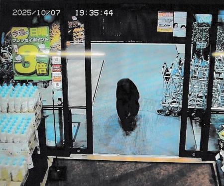 群馬県沼田市内のスーパーの防犯カメラに写った、店内に入っていくクマ=7日夜(群馬県警提供)