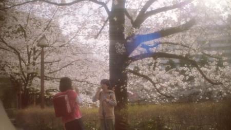 （Ｃ）２０２５「秒速５センチメートル」製作委員会