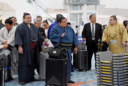 　大相撲ロンドン公演に向けて出発する安青錦（右端）ら＝１１日、羽田空港