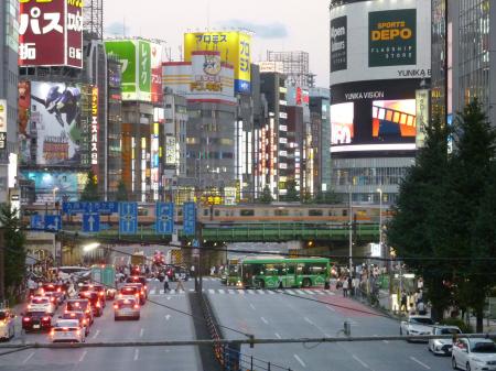 　夕刻の新宿繁華街＝東京都新宿区