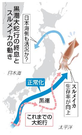 黒潮大蛇行の終息とスルメイカの動き