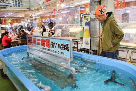 JR函館駅前の函館朝市にある「活いか釣堀」でイカ釣りを楽しむ観光客=23日午後