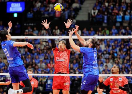 　大阪Ｂ―サントリー　第２セット　トスを上げる大阪Ｂ・ブリザール（右から２人目）＝ジーライオンアリーナ神戸