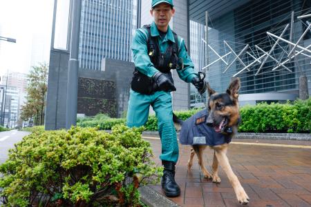 米大使館周辺で爆発物がないか探索する警備犬=26日午前、東京・赤坂