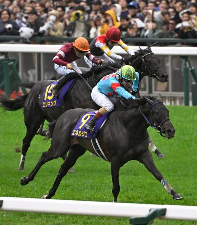 第86回菊花賞を制したエネルジコ(手前)。中央は2着のエリキング=京都競馬場