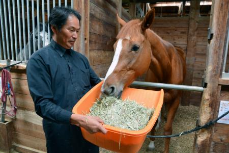 民間事業所「リタッチ」で餌を食べる引退競走馬＝１１日、大阪府河内長野市
