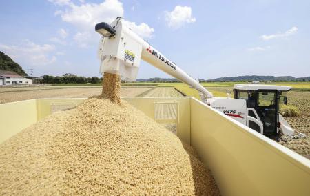 　収穫されたコメ＝８月、千葉県多古町