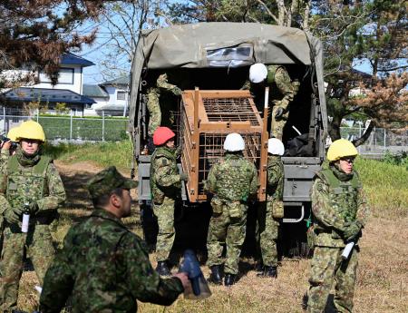 　陸上自衛隊秋田駐屯地での訓練で、箱わなを運ぶ隊員＝３０日午前、秋田市（陸自提供）