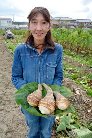 収穫した「海老芋」を手にする乾裕佳さん＝大阪府富田林市