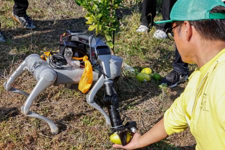 収穫の実証作業で、農家の男性からレモンを手渡される犬型ロボット＝１４日、岡山県浅口市