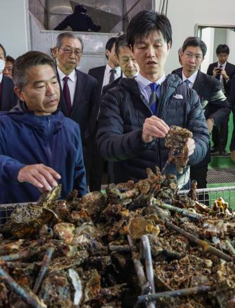 水揚げされたカキを手に取る鈴木農相（右）＝１９日午前、広島県東広島市