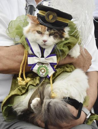 和歌山電鉄貴志駅の三毛猫の駅長「ニタマ」＝２０２１年、和歌山県紀の川市