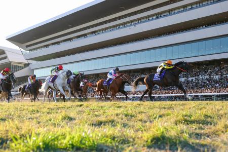 第４２回マイルチャンピオンシップを制したジャンタルマンタル（右端）＝京都競馬場