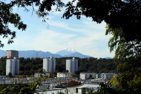 京王百草園の「見晴台」から見える富士山＝東京都日野市