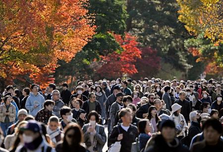 皇居・乾通りの一般公開が始まり、紅葉を楽しむ人たち＝２９日午前