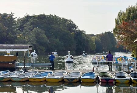 　石神井公園のボート場＝東京都練馬区