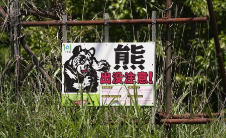 北海道福島町に設置された「熊出没注意!」の看板=7月