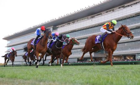 第77回阪神ジュベナイルフィリーズを制したスターアニス(右端)=阪神競馬場