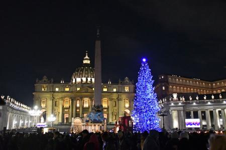 　バチカンのサンピエトロ広場に設置されたクリスマスツリー＝１５日（共同）