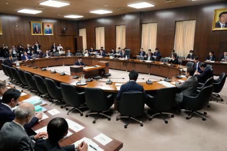 選挙制度の在り方を検討する与野党協議会＝１７日午後、国会