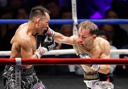 ＷＢＡバンタム級団体内王座統一戦の９回、ノニト・ドネア（左）を攻める堤聖也＝両国国技館