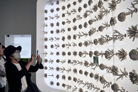 　大阪・関西万博のサウジアラビア館に展示された人工サンゴ＝１０月、大阪市此花区の夢洲