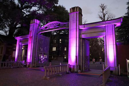 紫色にライトアップされた東大本郷キャンパス正門＝２２日午後