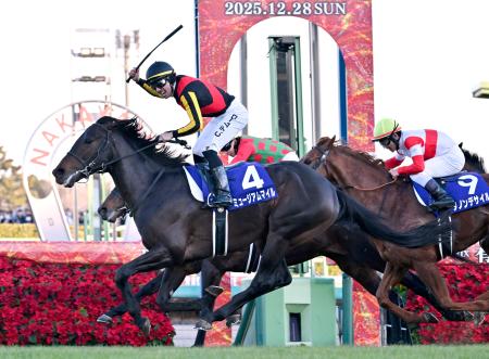 第７０回有馬記念を制したクリスチャン・デムーロ騎乗のミュージアムマイル＝中山競馬場