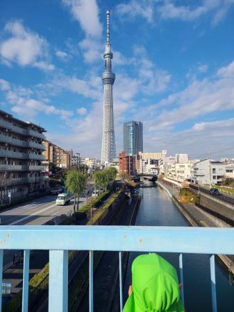 北十間川にかかる歩道橋から見た東京スカイツリー＝東京都墨田区