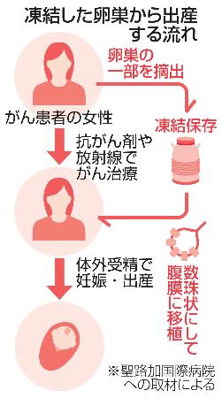 　凍結した卵巣から出産する流れ