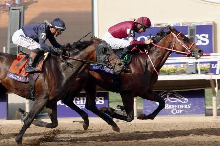 ＢＣクラシックで優勝した坂井瑠星騎乗のフォーエバーヤング（右）＝２０２５年１１月、デルマー競馬場（共同）