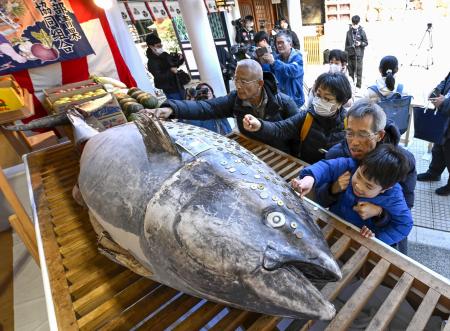 西宮神社に奉納されたマグロに、さい銭を張り付ける参拝客＝８日午前、兵庫県西宮市