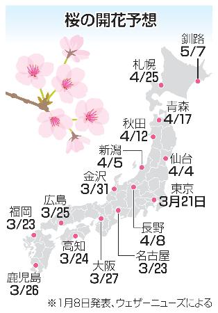 桜の開花予想（１月８日発表、ウェザーニューズによる）