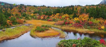 十和田八幡平国立公園をドローンで撮影した動画の一場面（ネイチャーサービス、環境省提供）