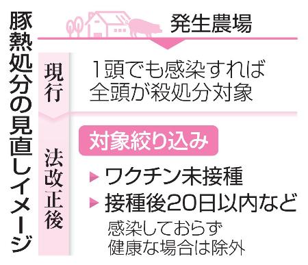 　豚熱処分の見直しイメージ