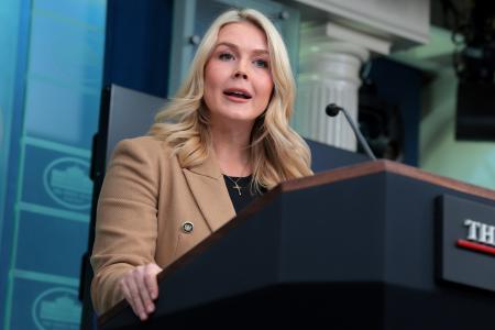 医療保険制度改革計画などについて話す米ホワイトハウスのレビット報道官＝１５日、ワシントン（ゲッティ＝共同）