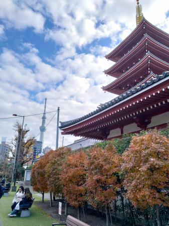 浅草寺の五重塔。向こうに東京スカイツリーが見える=東京都台東区
