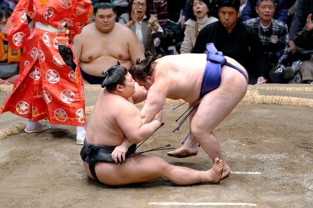 安青錦（右）が下手投げで伯乃富士を下す＝両国国技館
