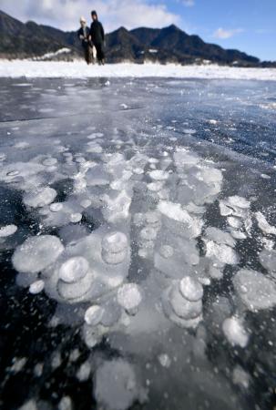 北海道上士幌町の糠平湖に出現した、凍結した湖面に湧き出たガスなどの気泡が閉じ込められた「アイスバブル」＝２２日午後