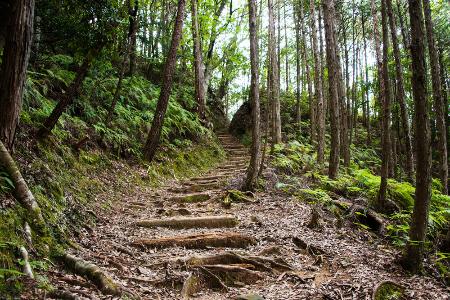 　吉野熊野国立公園の大日越（環境省提供）